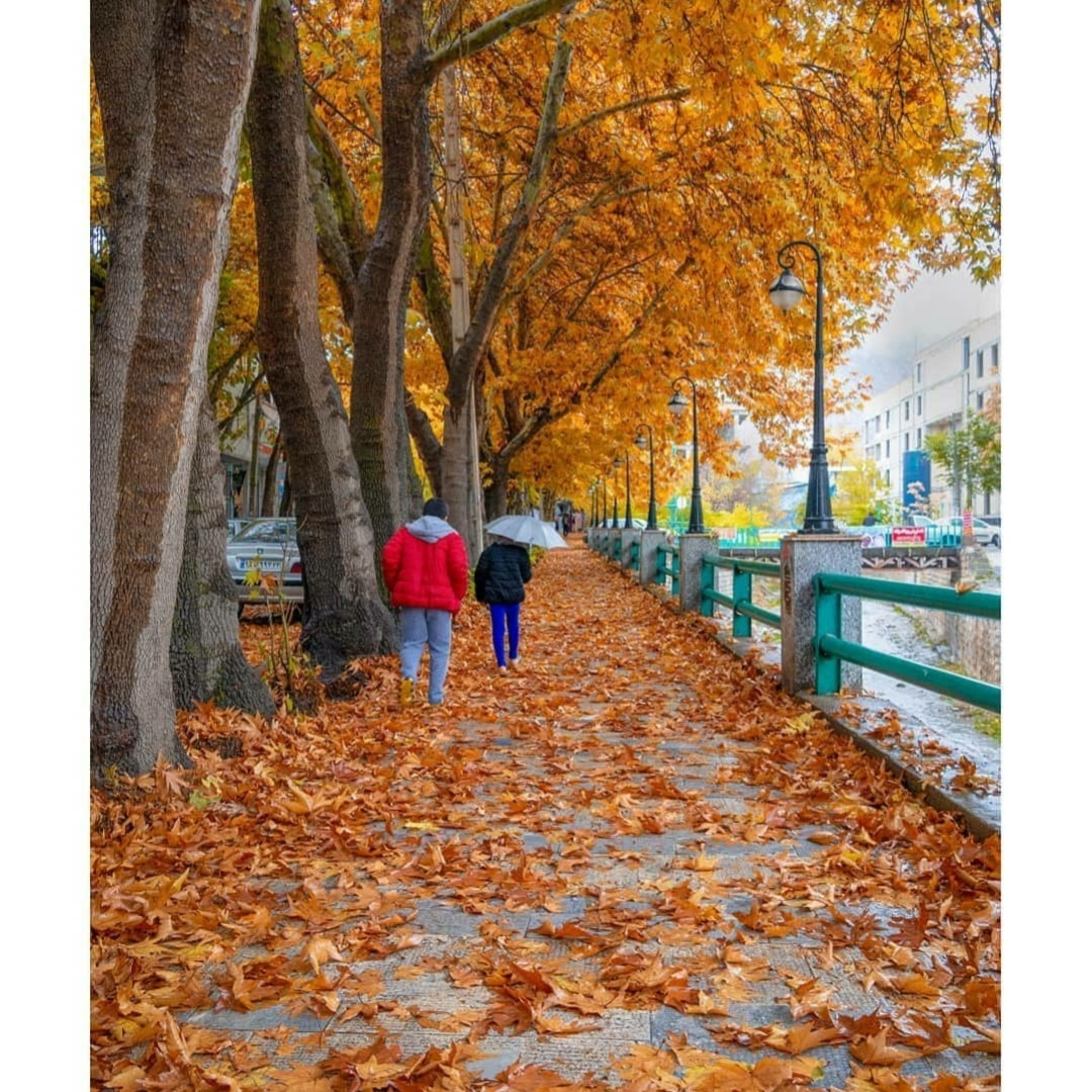 داوود رستمی دنیا